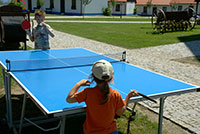 ping pong